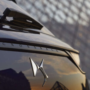 DS Logo