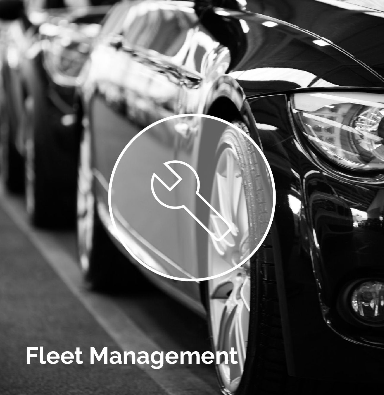 Data Package of the Month "First Notification of Service"