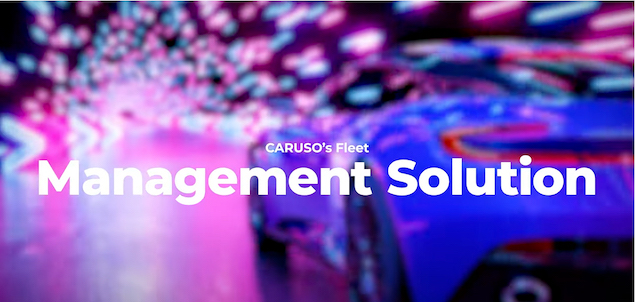 Fleet Management Solution CARUSO