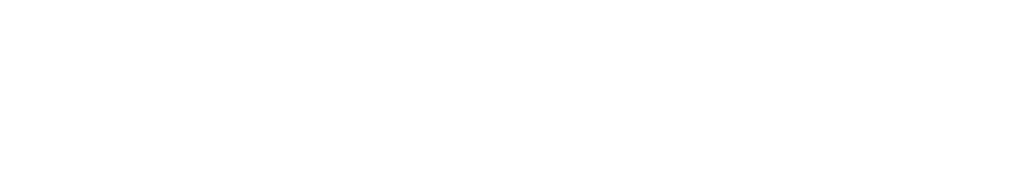geoCapture Logo White
